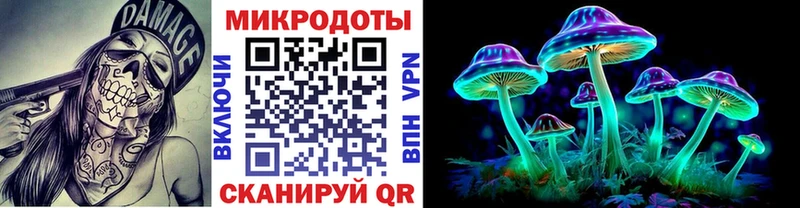Псилоцибиновые грибы Psilocybe  Нея 